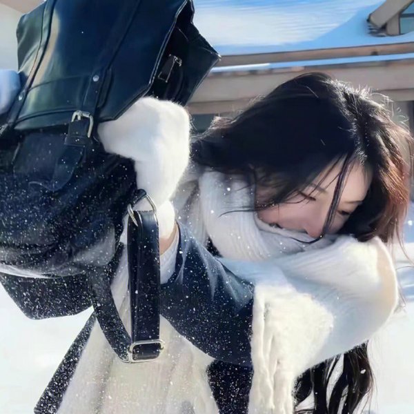 彩虹失窃事件